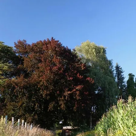 Trappenkamper Hof, Hunde Gerne Auf Anfrage Tarbek